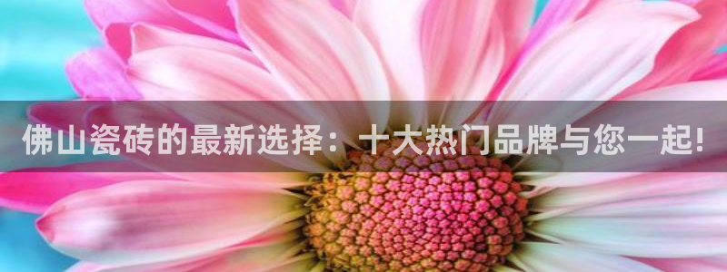 和记怡情官网：佛山瓷砖的最新选择：十大热门品牌与您一起!