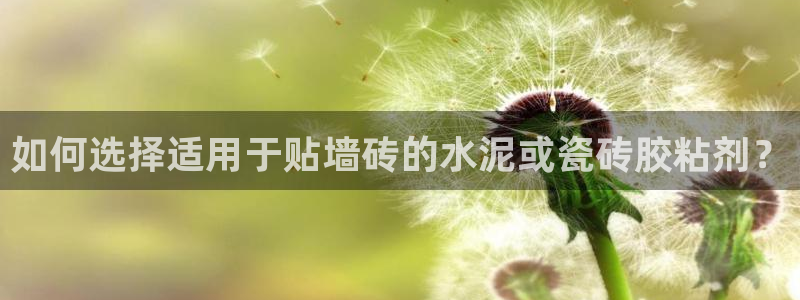 白云 和记黄埔官网电话