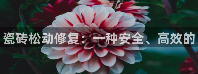 和记h88官网登陆
