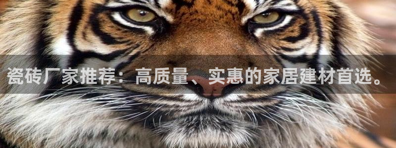和记官网开户