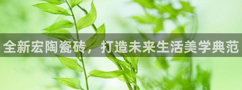 缅甸和记国际官网
