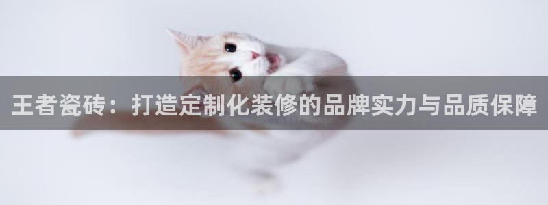 和记官网客服app