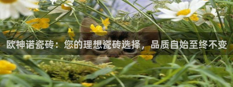 和记黄埔上海官网