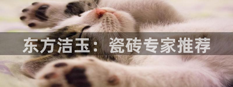 胡和记官网