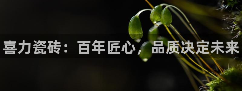 下载和记官网