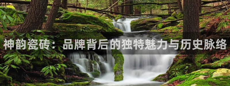 香港和记3官网