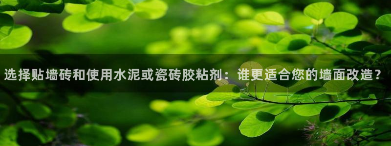 和记娱乐怡情博官网