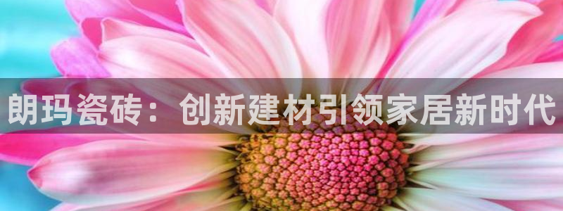 和记官网开户