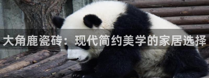 和记安徽快3官网开户