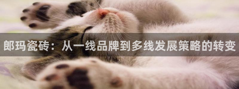 和记娱乐旗舰官网