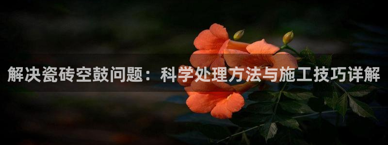 和记娱安全h88285官网