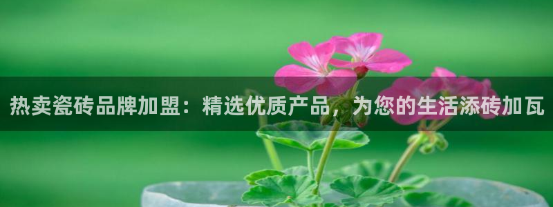 和记娱技精h88285官网