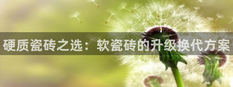 和记官网平台入口