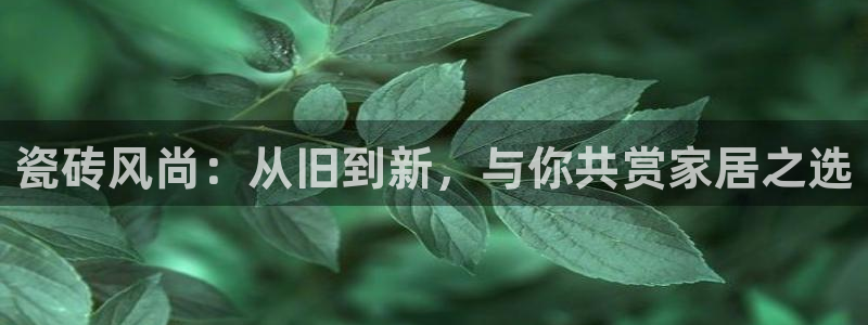 和记手机官网
