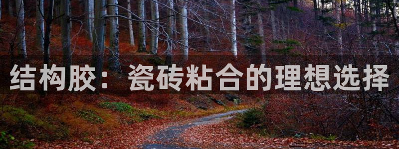 和记中国官网