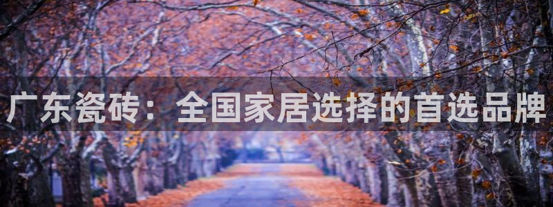 和帆记加盟官网