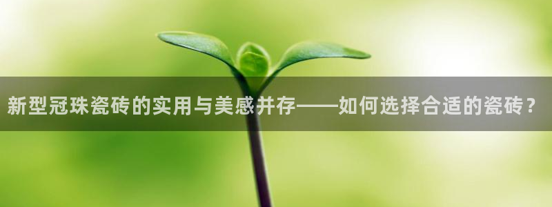 和记h88官网登陆