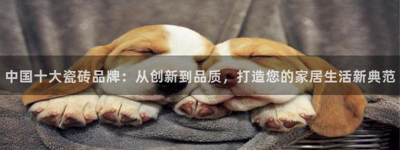 和兴记官网