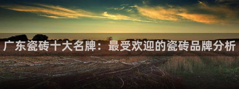 和记app官网