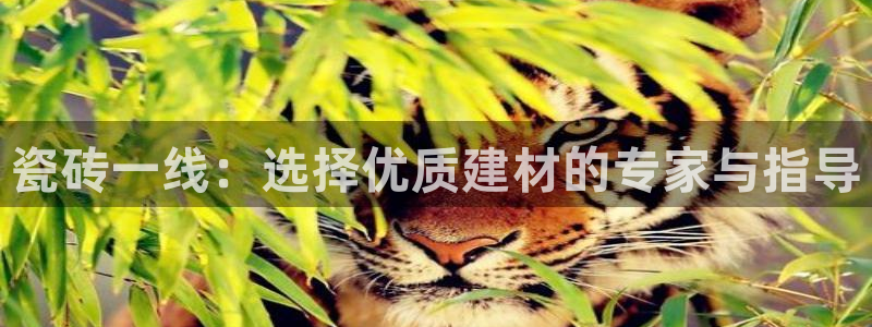 和帆记官网