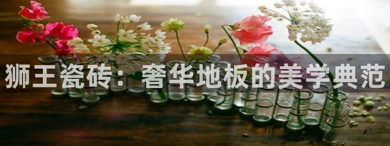 和记体育买球官网