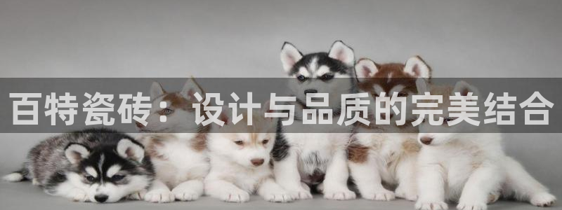 果博官网和记