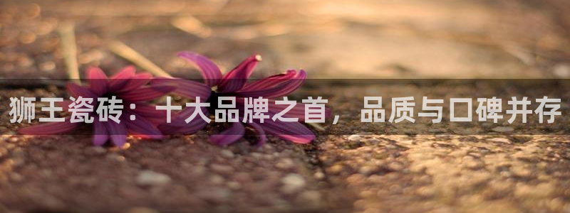 重庆和记黄埔官网