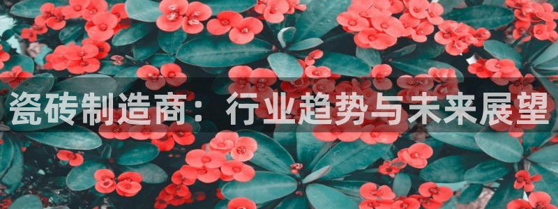 长江和记官网