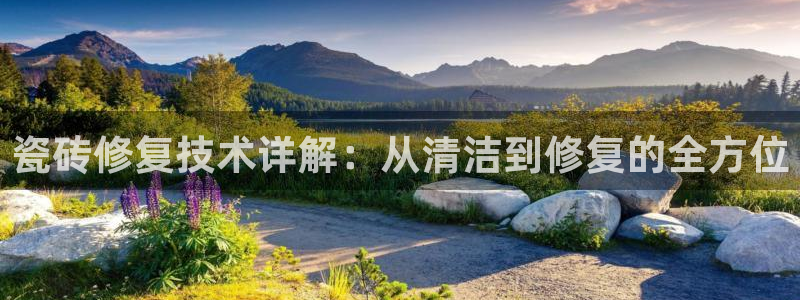 和记黄埔上海官网