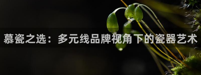 毛记和意冒菜官网加盟