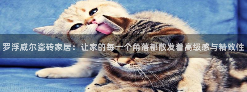 和记 中国官网