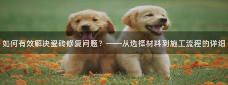 和记怡情博物官网