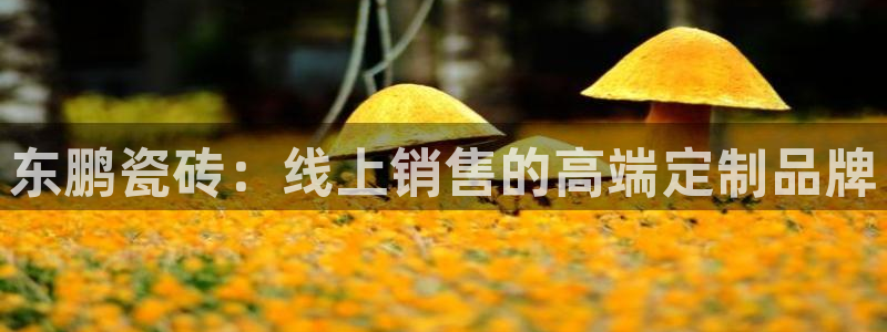 和记娱乐h88官网约凯发来就送68