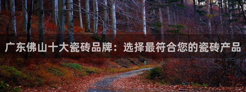 和记h8官网