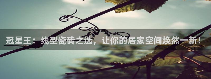 和记 中国官网