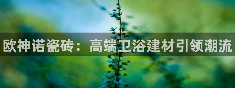 和记怡情h88官网中文版