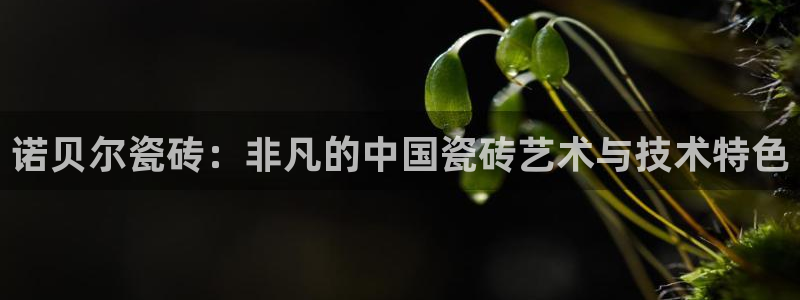 和记平台网站官网